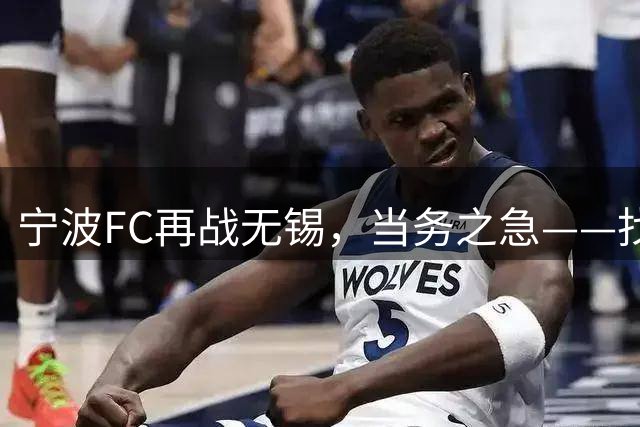 宁波FC再战无锡，当务之急——找到外援托莫维奇的使用说明书